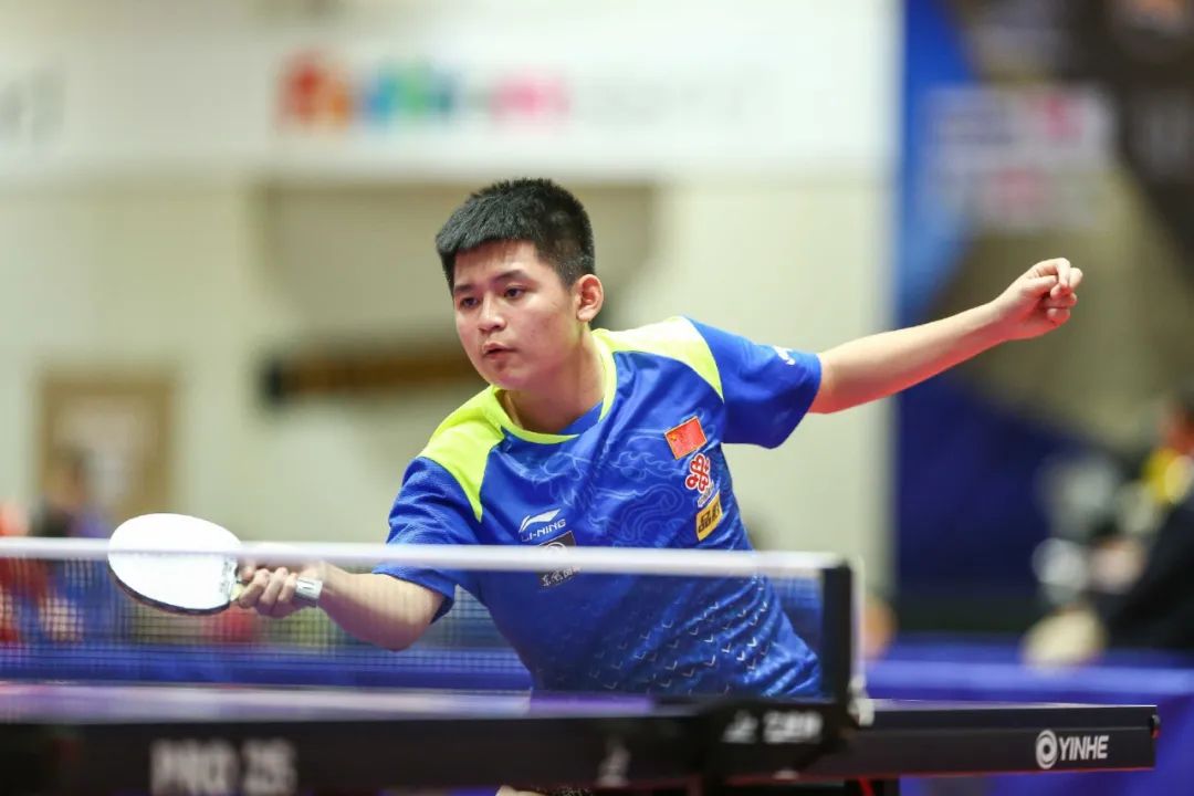 无疑是最引 无疑是最引